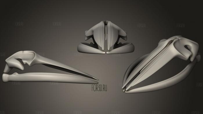 Fin Whale Skull stl model for CNC